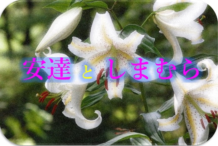 安達としまむらのメディアミックス